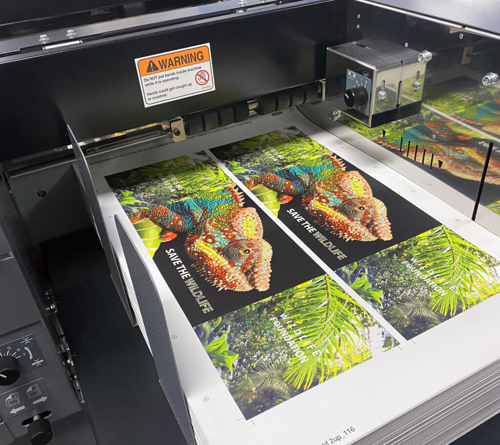 Acabados Armadoras de Revistas Plegadoras